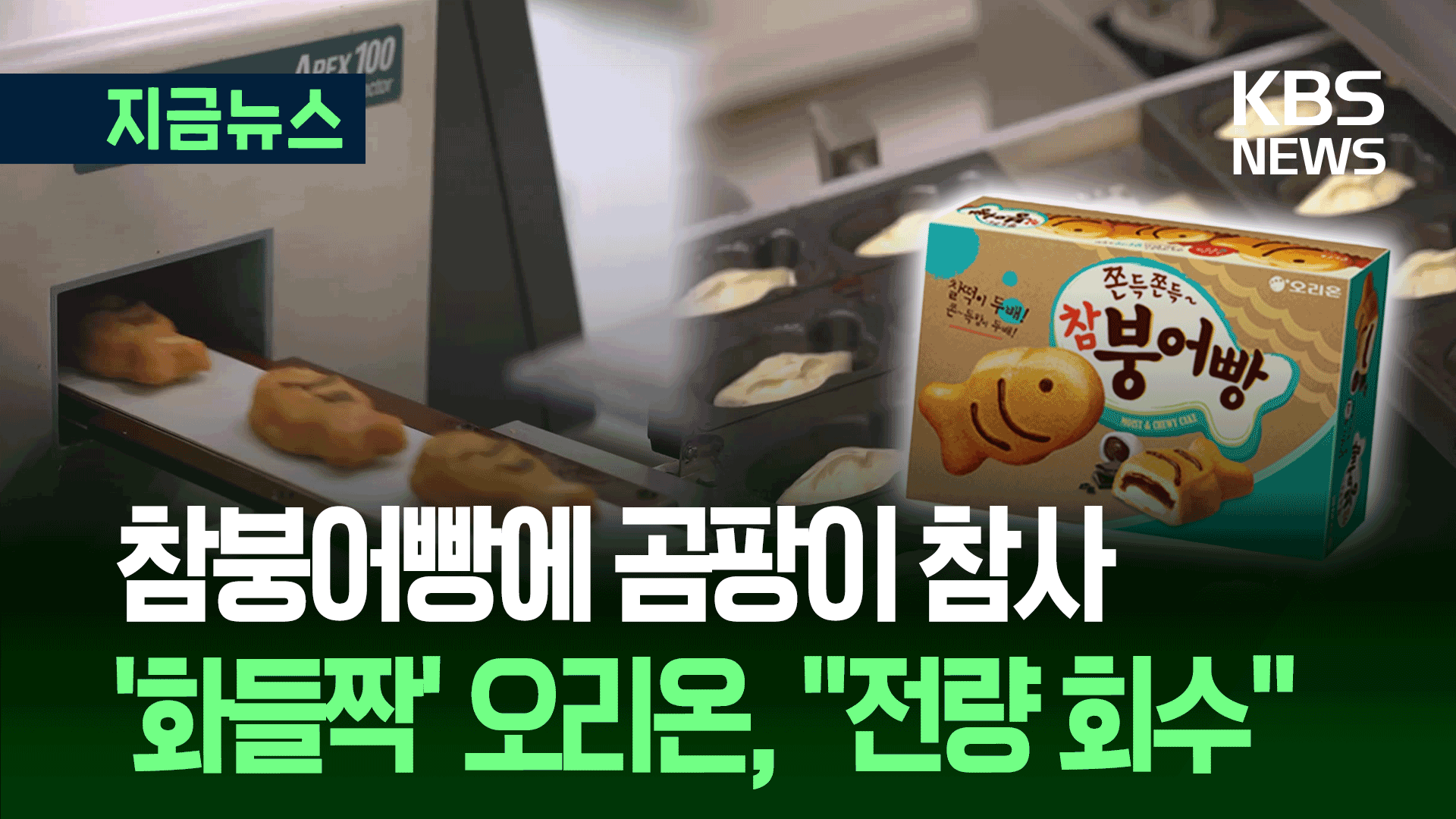 오리온 ‘참붕어빵’ 15억 어치 <br>회수…검사 결과 ‘이것’ 불량