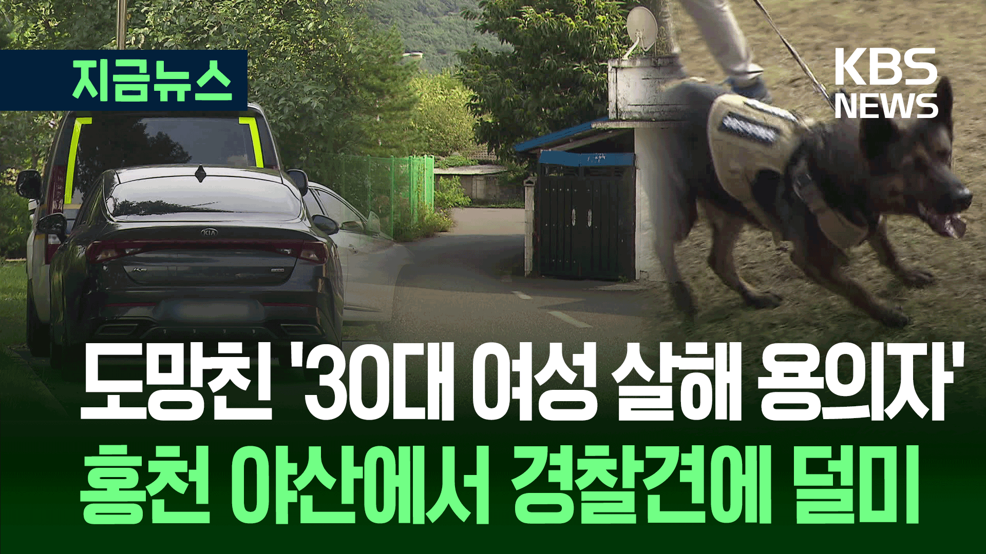 용인 30대 여성 살해용의자, 홍천 야산에서 잡혔다