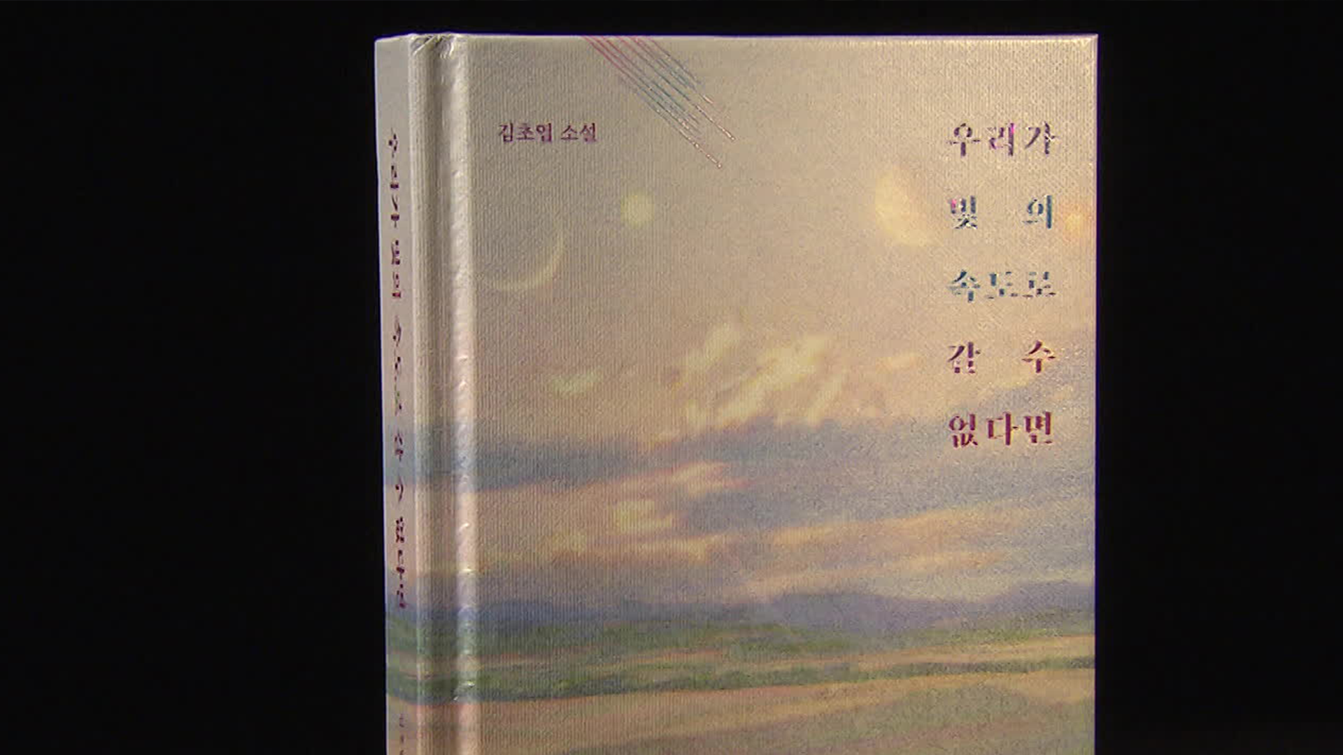 한국 SF소설의 새 지평…김초엽 ‘우리가 빛의 속도로 갈 수 없다면’