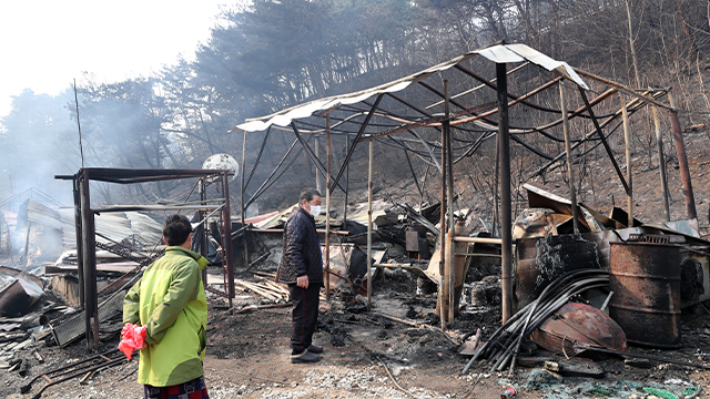 동해안 산불 피해주민에 지적측량 수수료 감면